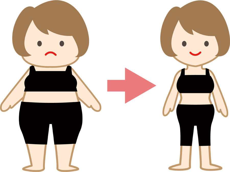 減量、エストロゲン、男性ホルモン、甲状腺、体質改善